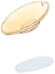 Potato Chips