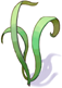 Singing Plant