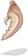 Scorpion Claw