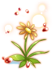 Illusion Fancy Flower