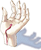 Hand of God