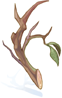 Dry Twig