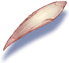 Claw of Rat