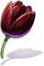 Black Tulip