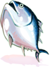 Fresh Tuna Amulet