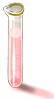 Build Up Potion SC