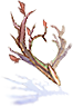 Branch of Maple Tree