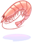 Shrimp