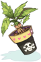 Mandragora Flowerpot