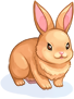Costume Orange Rabbit