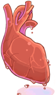 Heart of Mermaid