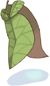 Fig Leaf