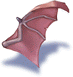 Wing of Red Bat