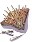 Porcupine Quill
