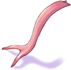 Reptile Tongue