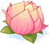 Charming Lotus