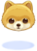 Costume Super Cute Dog