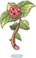 Poison Herb Rantana