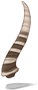 Antelope Horn