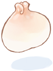 Big Bun