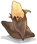 Yam