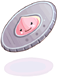 5th Anniversary Coin