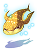 Lunaforma Fish