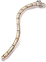 Brown Rat Tail