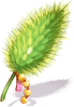 Herosria Foxtail