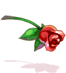 Costume Scarlet Rose