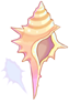 Conch
