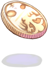 Gold Coin
