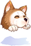 Husky Hat