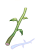Stem