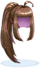 Costume Ponytail Hair (Black)