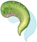 Petite's Tail