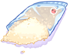 Sweet Rice