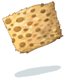 Leopard Skin
