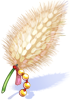 Lunatic Picky Booster Foxtail