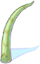 Pointed Scale