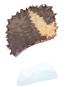 Black Bear Skin