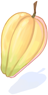 Cacao