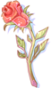 Witherless Rose