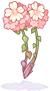 Persika
