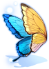 Costume Ulysses Wings
