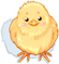 F Chick Hat
