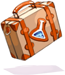 Chemical Bag