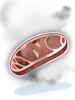 Stinky Rotten Meat
