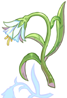 Illusion Flower