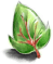 Yggdrasil Leaf